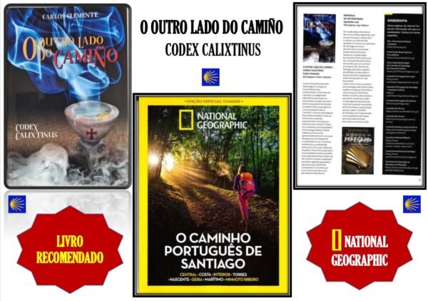 Zflyer camino