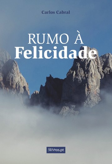 890_Rumo